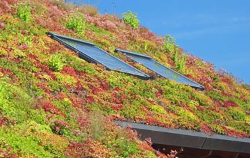 Church Gresley living roof systems
